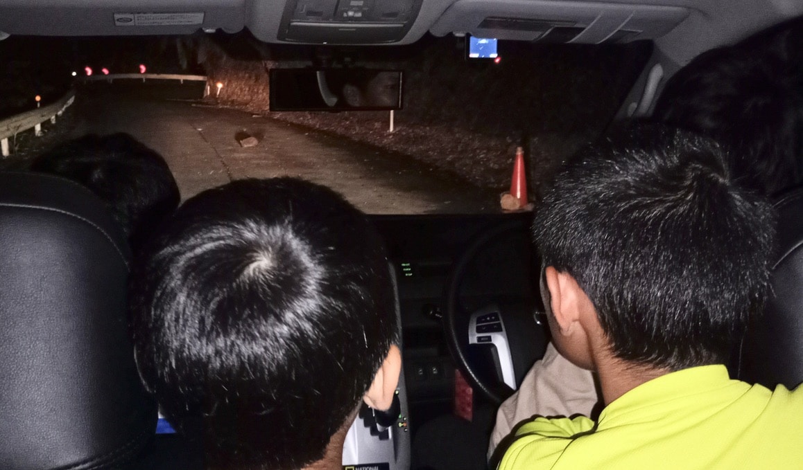 車内からクロウサギを探す子供